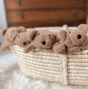 Little Teddy Comforter Toy