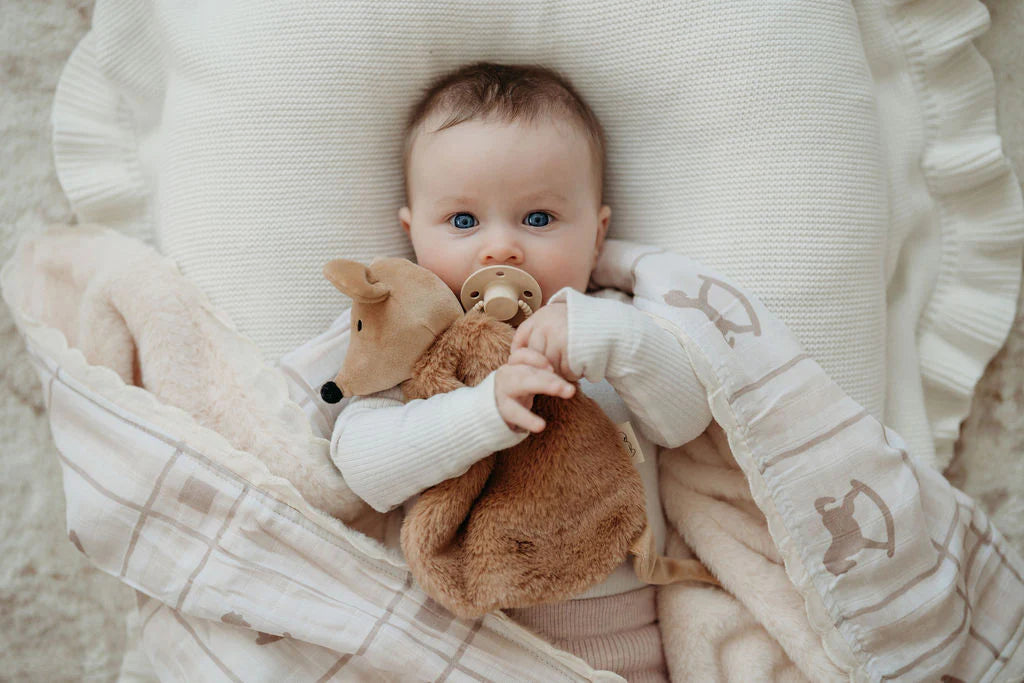 Squeaky The Comforter Toy