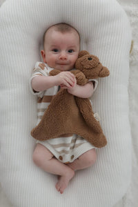 Little Teddy Comforter Toy