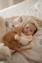 Squeaky The Comforter Toy